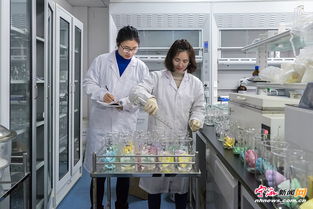 節后開足馬力，寧海檢驗檢疫技術中心力促技術進出口高效暢通